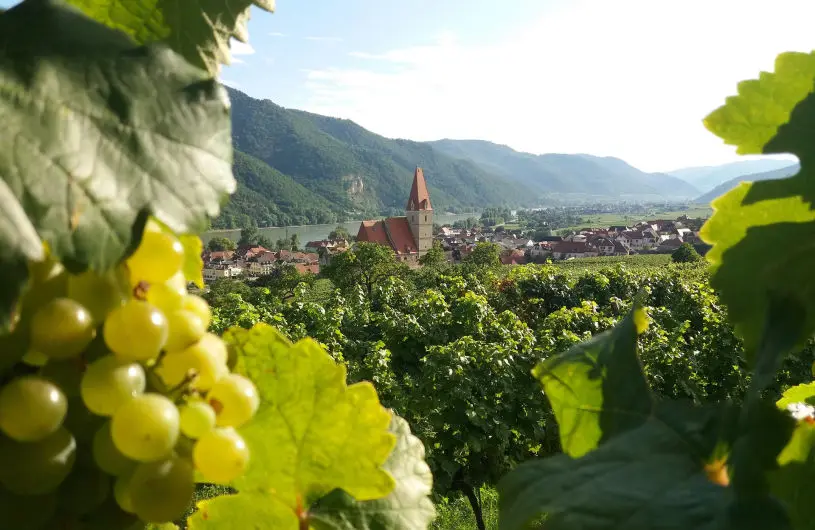 Weißenkirchen in der Wachau