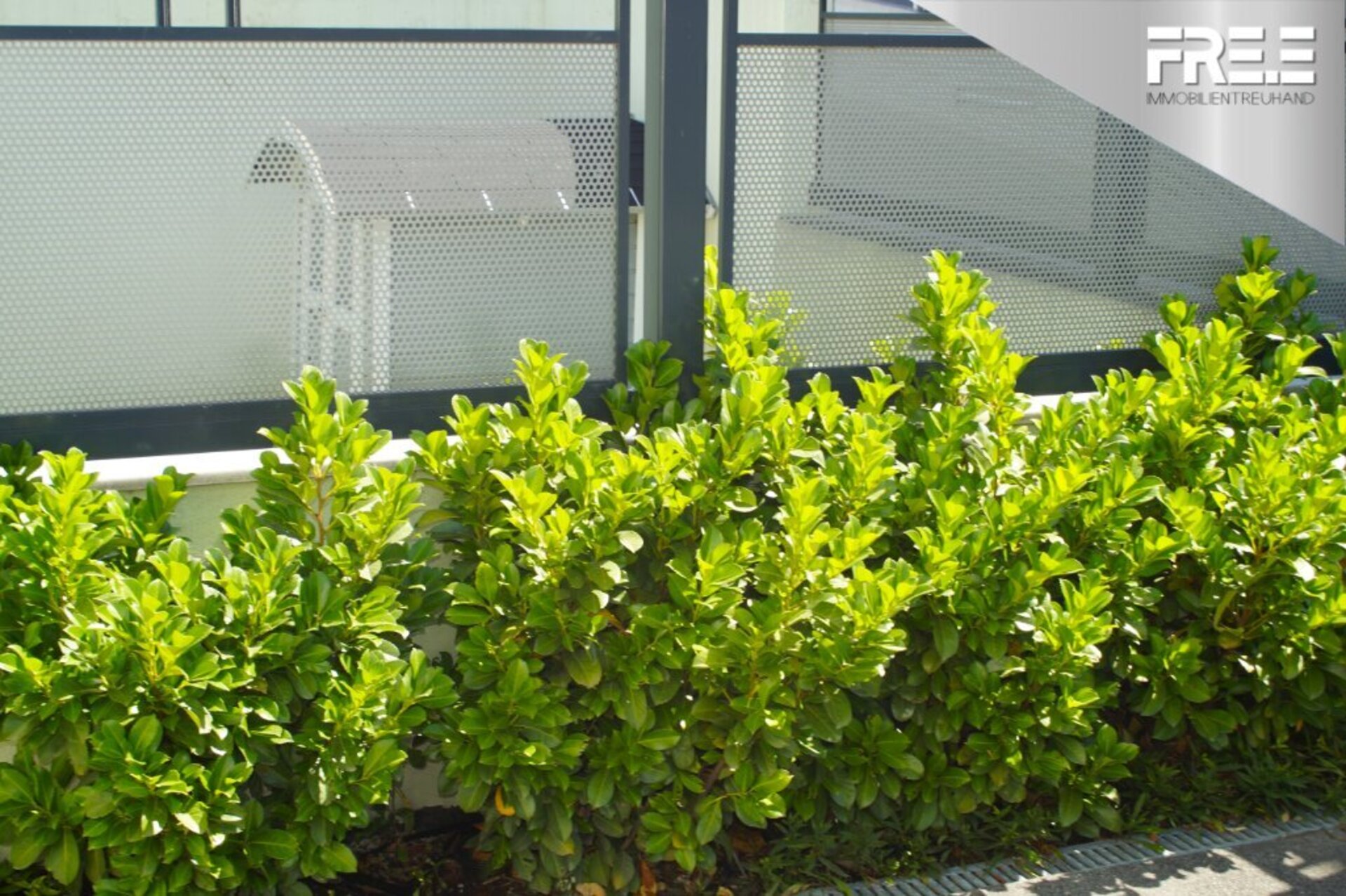Hecke und Parkfläche